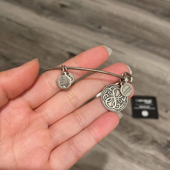 NWOT Women’s Alex and Ani Path Of Life 2014 Rafaelian Silver Bangle - Picture 4 of 8